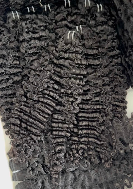 BURMESE CURL BUNDLE